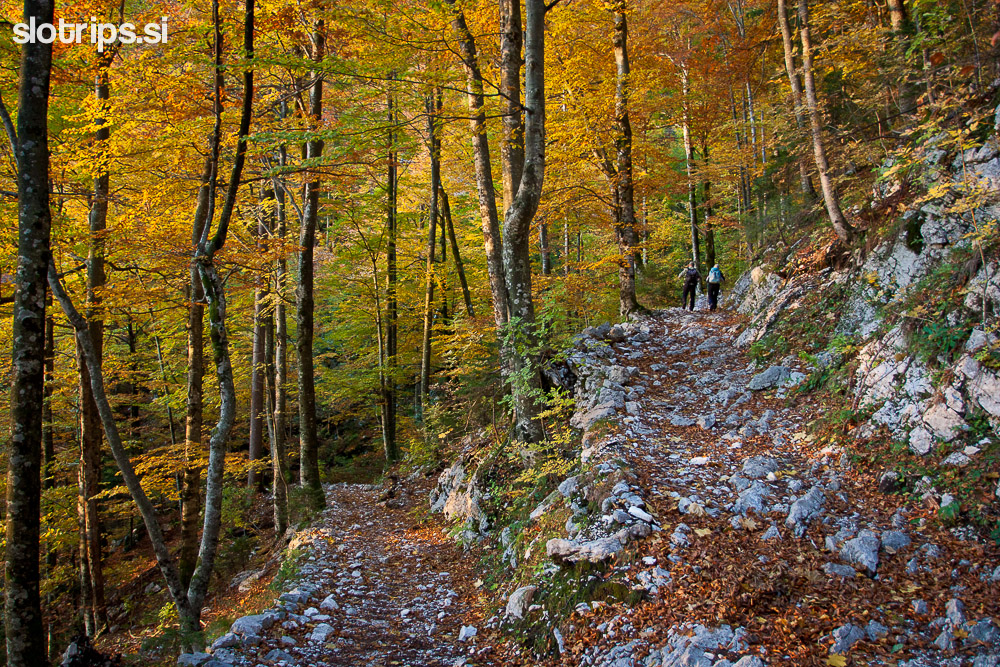 Path to Komna from Savica