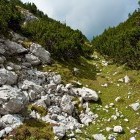 Struška - Spust po brezpotju proti Belski planini